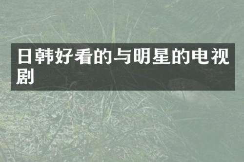 日韩好看的与明星的电视剧