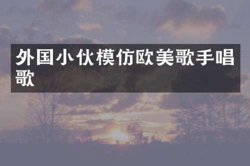 外国小伙模仿欧美歌手唱歌