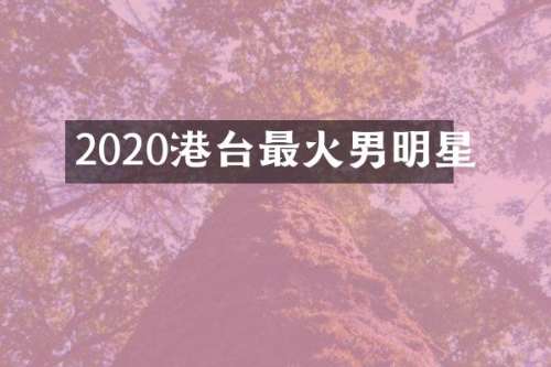 2020港台最火男明星