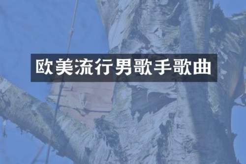 欧美流行男歌手歌曲