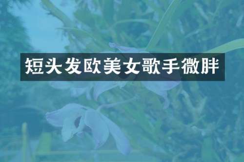 短头发欧歌手微胖
