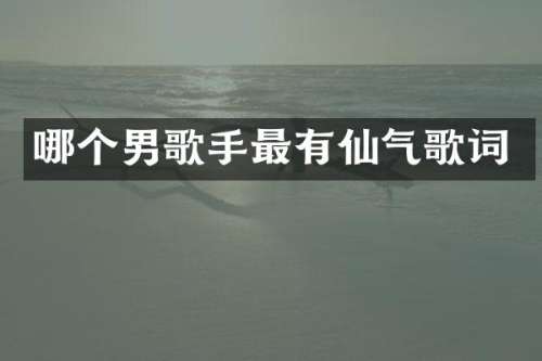 哪个男歌手最有仙气歌词