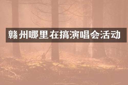 赣州哪里在搞演唱会活动