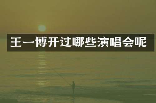 王一博开过哪些演唱会呢