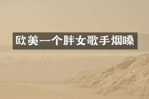 欧美一个胖女歌手烟嗓