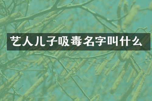 艺人儿子吸毒名字叫什么