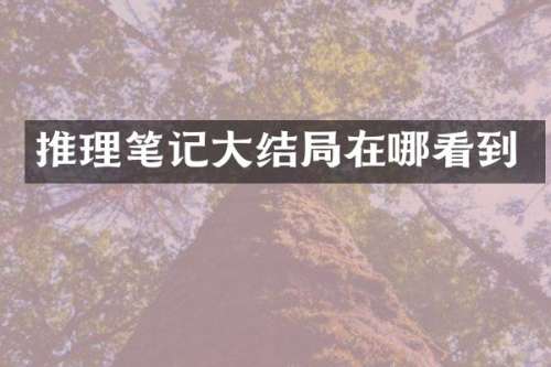 推理笔记大结局在哪看到