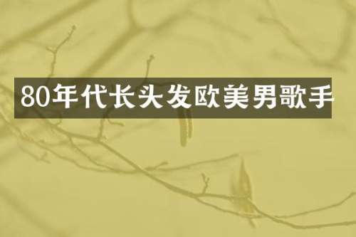 80年代长头发欧美男歌手