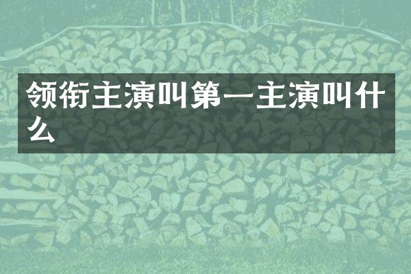 领衔主演叫第一主演叫什么