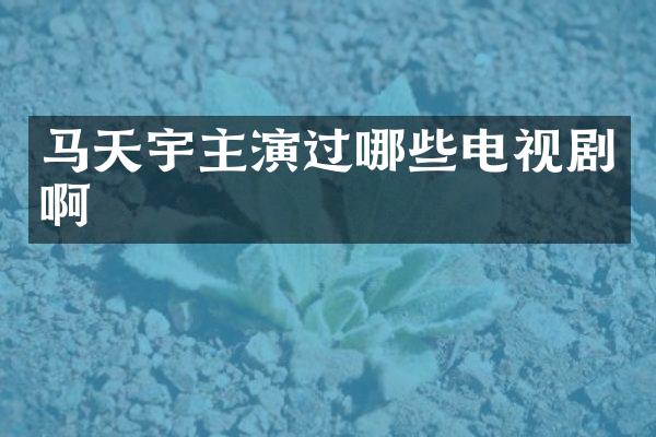 马天宇主演过哪些电视剧啊