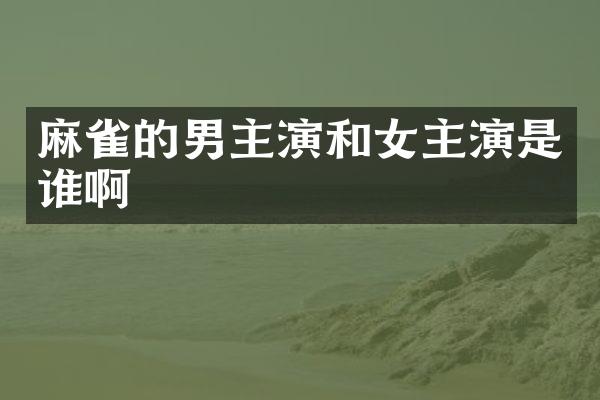 麻雀的男主演和女主演是谁啊