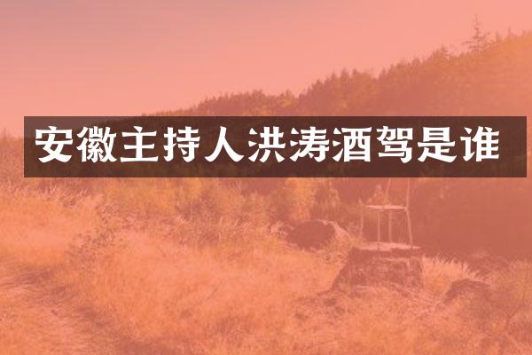 安徽主持人洪涛酒驾是谁