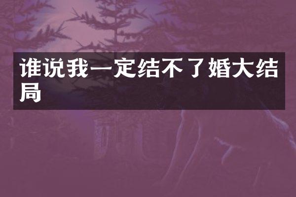 谁说我一定结不了婚大结局