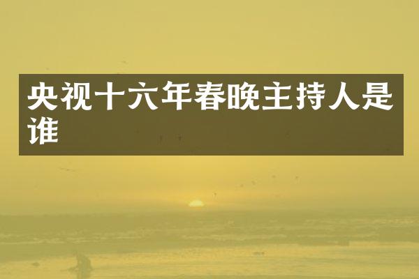 央视十六年主持人是谁
