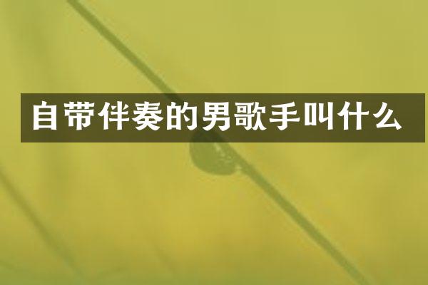 自带伴奏的男歌手叫什么