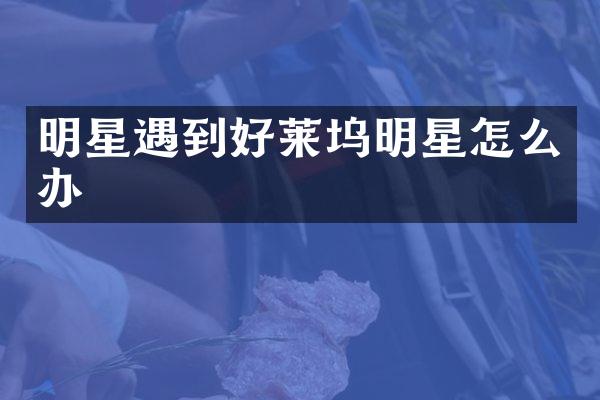 明星遇到好莱坞明星怎么办
