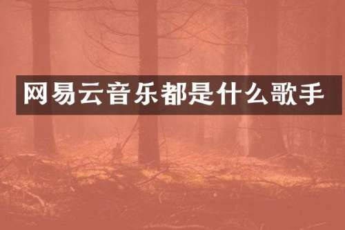 网易云音乐都是什么歌手