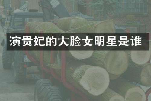 演贵妃的大脸女明星是谁