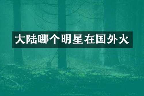 大陆哪个明星在国外火