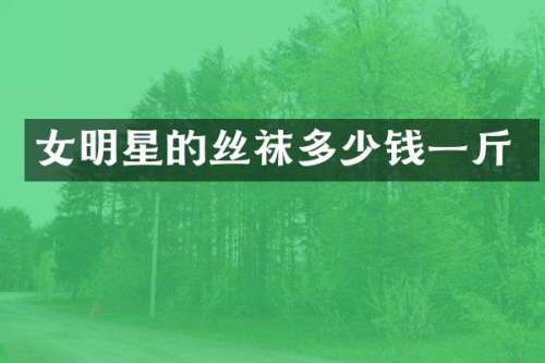 女明星的丝袜多少钱一斤