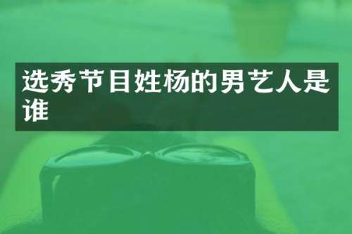 选秀节目姓杨的男艺人是谁