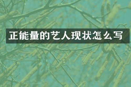 正能量的艺人现状怎么写