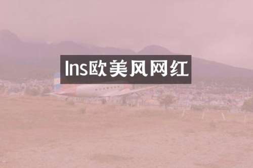 Ins欧美风网红