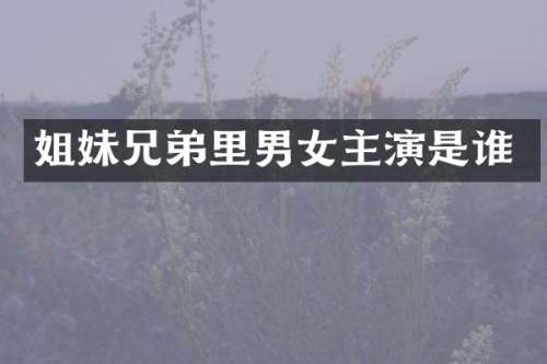 姐妹兄弟里男女主演是谁