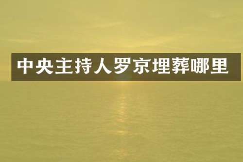 中央主持人罗京埋葬哪里