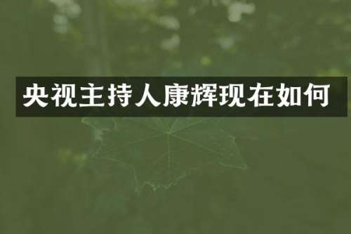央视主持人康辉现在如何