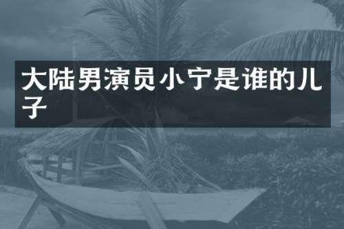 大陆男演员小宁是谁的儿子