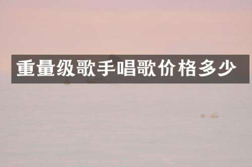重量级歌手唱歌价格多少