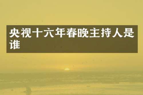 央视十六年主持人是谁