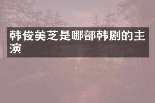 韩俊美芝是哪部韩剧的主演