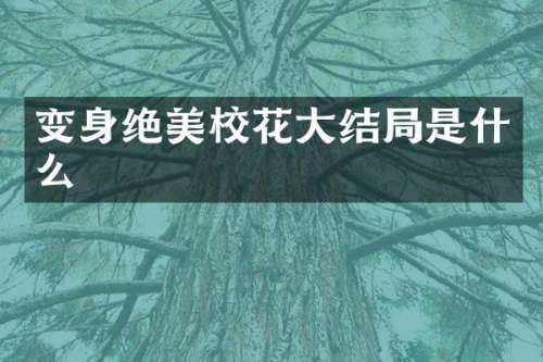 变身绝美校花大结局是什么