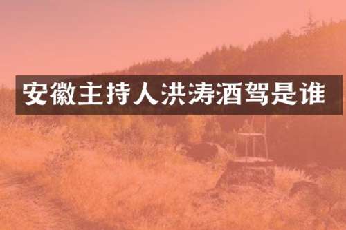 安徽主持人洪涛酒驾是谁
