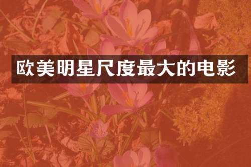 欧美明星尺度最大的电影