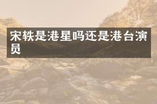 宋轶是港星吗还是港台演员