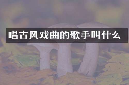 唱古风戏曲的歌手叫什么