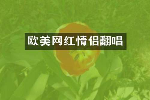 欧美网红情侣翻唱