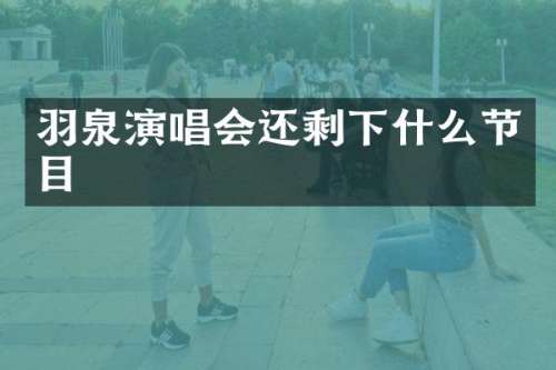 羽泉演唱会还剩下什么节目