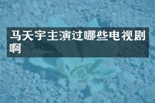 马天宇主演过哪些电视剧啊