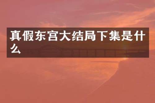 真假大结局下集是什么