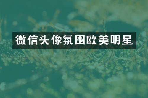 微信头像氛围欧美明星