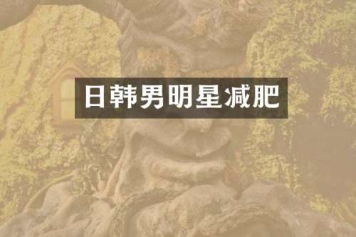 日韩男明星减肥