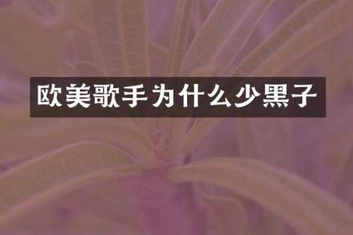 欧美歌手为什么少黑子