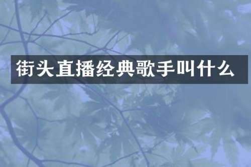 街头直播经典歌手叫什么