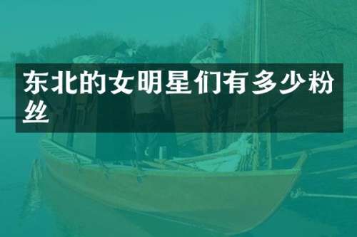 东北的女明星们有多少粉丝