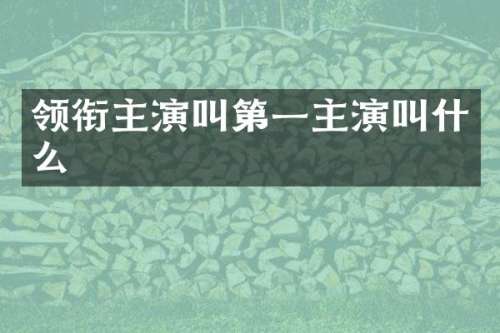 领衔主演叫第一主演叫什么