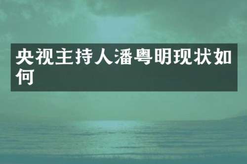 央视主持人潘粤明现状如何